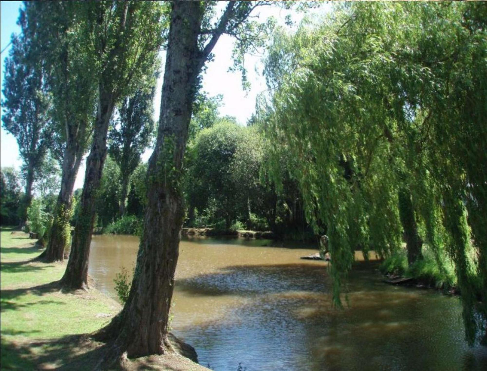 Mézières-sous-Lavardin Camping Smile & Braudieres מראה חיצוני תמונה